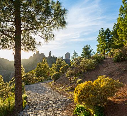 GREEN FRIDAY PROMO Hotel MYND Yaiza Lanzarote GREEN FRIDAY PROMO Hotel MYND Yaiza Lanzarote