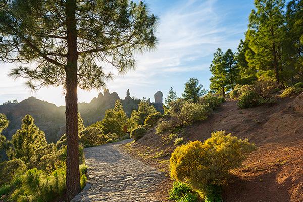 PROMO GREEN FRIDAY Hotel MYND Adeje Tenerife PROMO GREEN FRIDAY Hotel MYND Adeje Tenerife