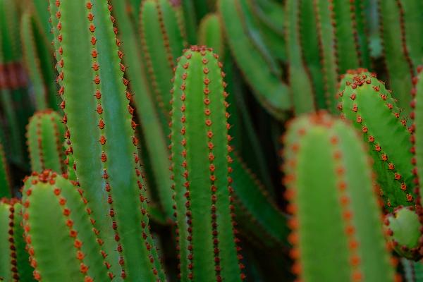 GESCHENKKARTE MYND Hotels GESCHENKKARTE MYND Hotels