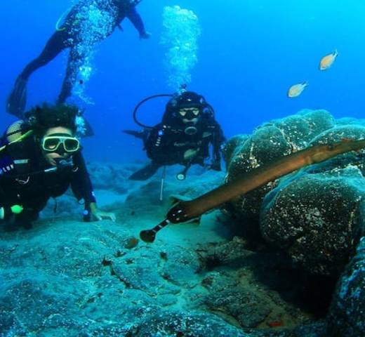 Pura vida diving Hotel MYND Yaiza Lanzarote