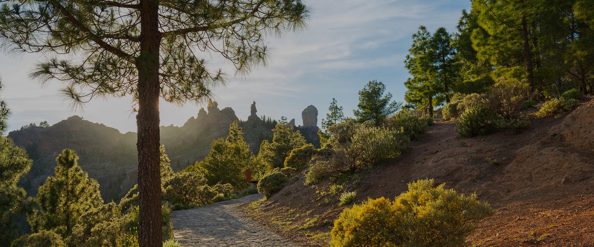 GREEN FRIDAY MYND Hotels GREEN FRIDAY MYND Hotels